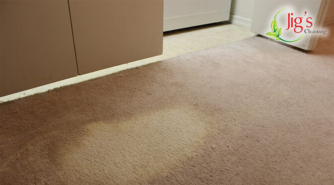 How to Treat Bleach Stains From Your Carpet?