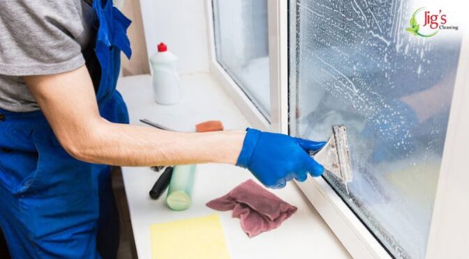 Can DIY Window Cleaning Really Match Professional Results?