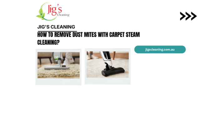 How to Remove Dust Mites with Carpet Steam Cleaning?